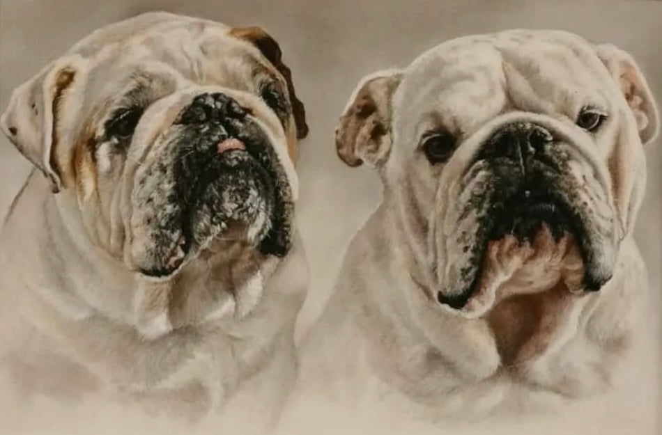 Bulldog Pair Wall Artwork