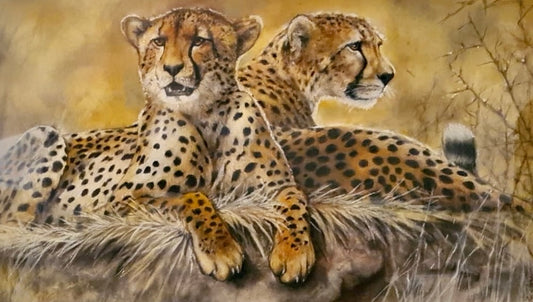 Cheetah Artwork African Wildlife Wall Art Chalk Pastel