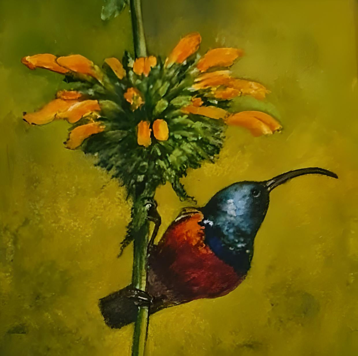 Malachite Sunbird Artwork