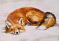 Sleeping Fox Artwork Chalk Pastel