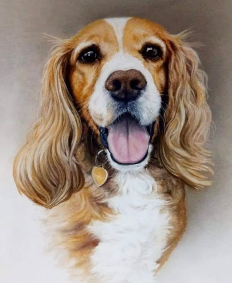 Spaniel Wall Artwork