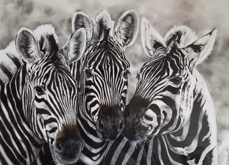 Zebra Herd Artwork chalk pastel